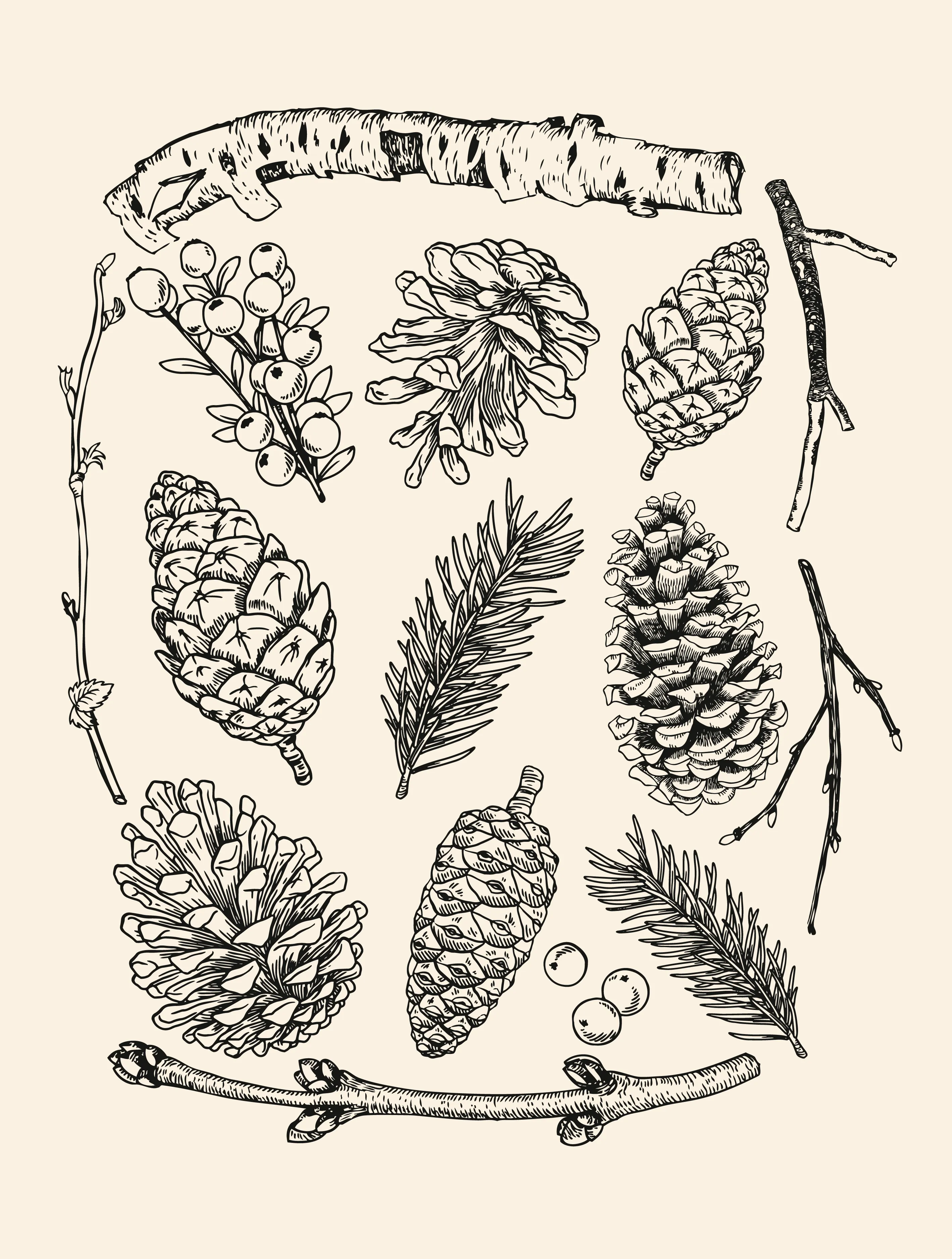 Pinecones · Heather T-Shirt