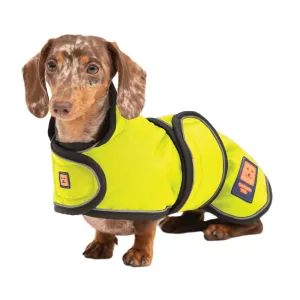 Waterproof Shower Lightweight Dachshund Dog Coat